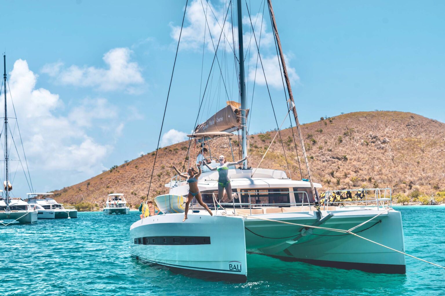 A catamaran is docked in the water near a hill.